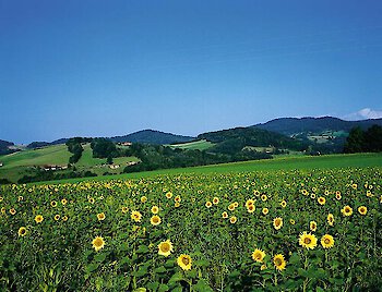 Bayerischer Wald - Viele Orte lohnen einen Besuch
